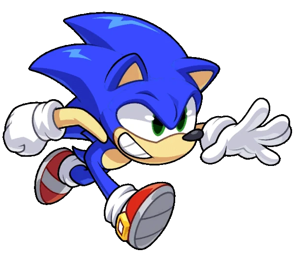 portrait sonic