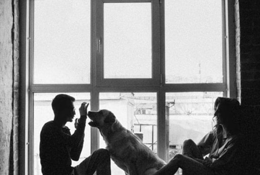 pet sitting founder